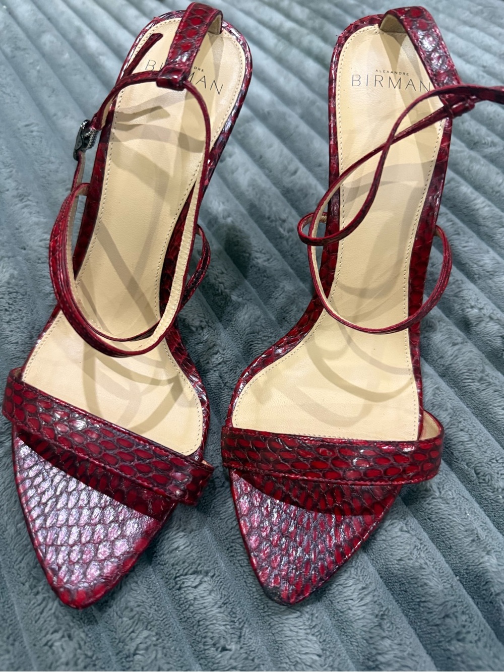 Alexandre Birman Burgundy Snake-Embossed Pointed Toe Heels